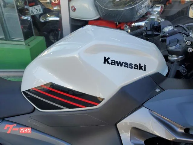 Kawasaki Ninja 400 ABS 42 2024 — миниатюра 5