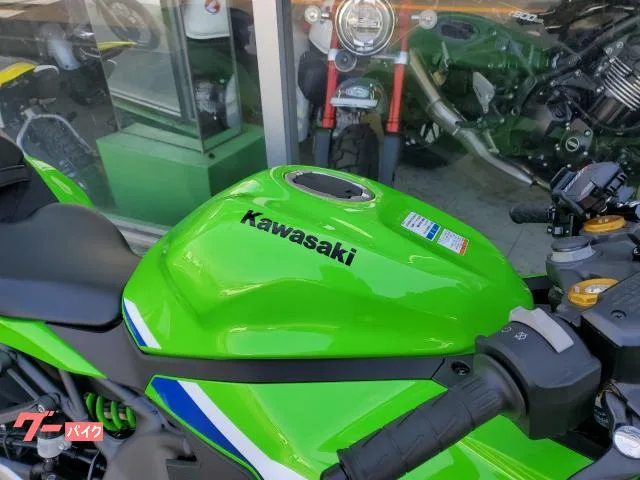 Kawasaki Ninja ZX-4RR 2025 10 2025 — миниатюра 3