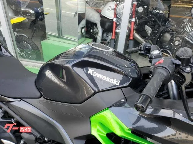 Kawasaki Ninja 250 2023 — миниатюра 5
