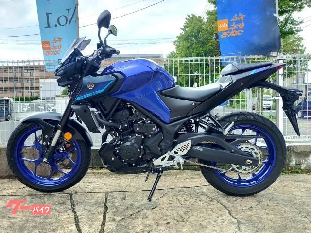 Yamaha MT-25 2022 — миниатюра 2