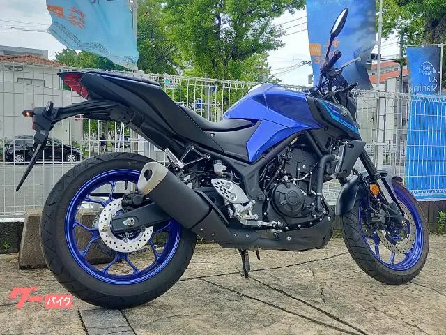 Yamaha MT-25 2022 — миниатюра 5