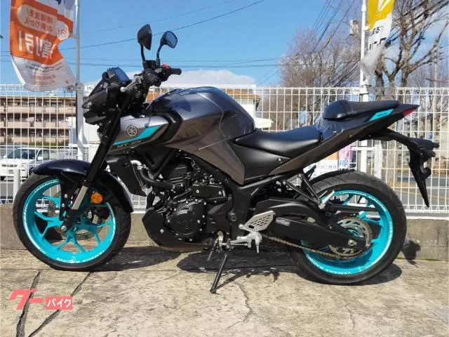 Yamaha MT-25 2024 — миниатюра 2