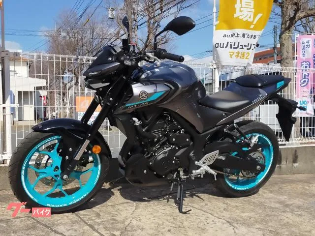 Yamaha MT-25 2024 — миниатюра 4
