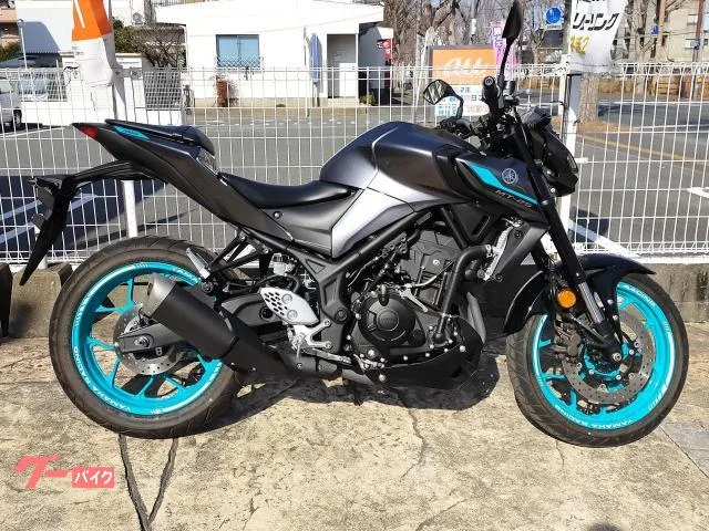 Yamaha MT-25 2024 — фото 1, купить с доставкой в Москву
