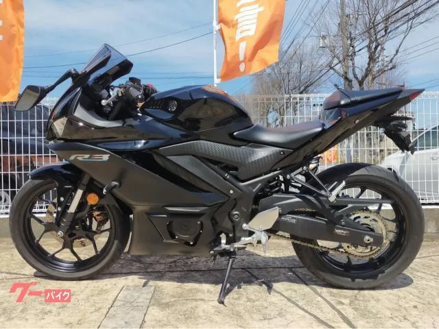 Yamaha YZF-R3 2023 — миниатюра 2