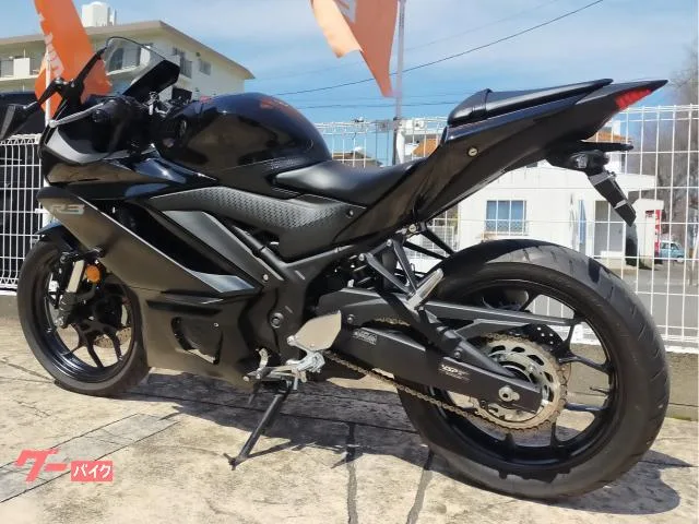 Yamaha YZF-R3 2023 — миниатюра 3