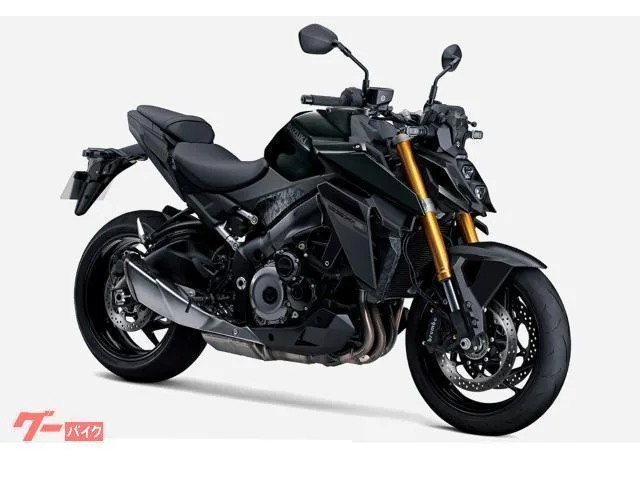 Suzuki GSX-S1000 25 2025 — миниатюра 4