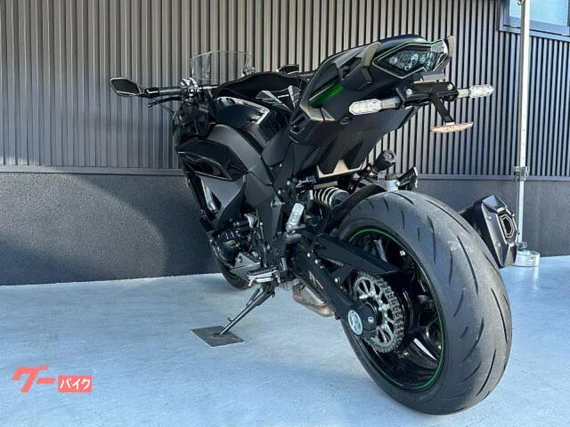 Kawasaki Ninja 1000 SX ETC 2023 — миниатюра 3