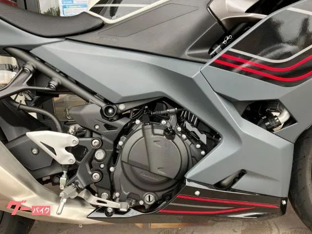 Kawasaki Ninja 400 ETC 2024 — миниатюра 4