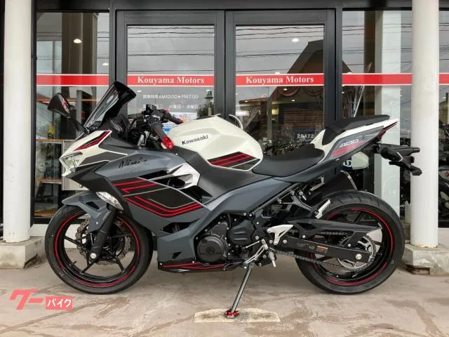 Kawasaki Ninja 400 ETC 2024 — миниатюра 5