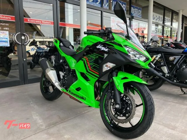 Kawasaki Ninja 250 2023 — миниатюра 3