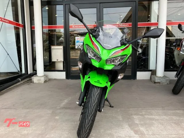 Kawasaki Ninja 250 2023 — миниатюра 5