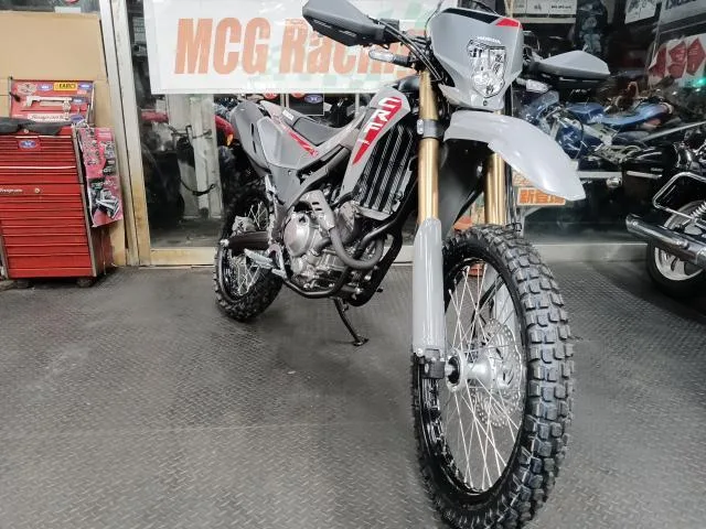 Honda CRF250L ABS 2025 2025 — миниатюра 2