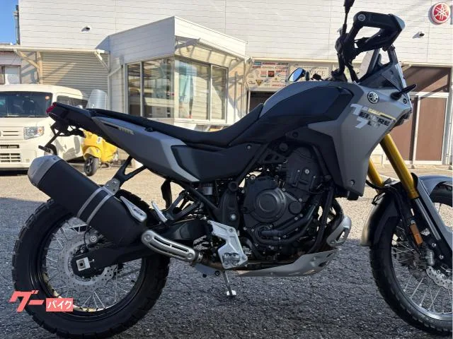 Yamaha 700 YSP 2025 — миниатюра 3