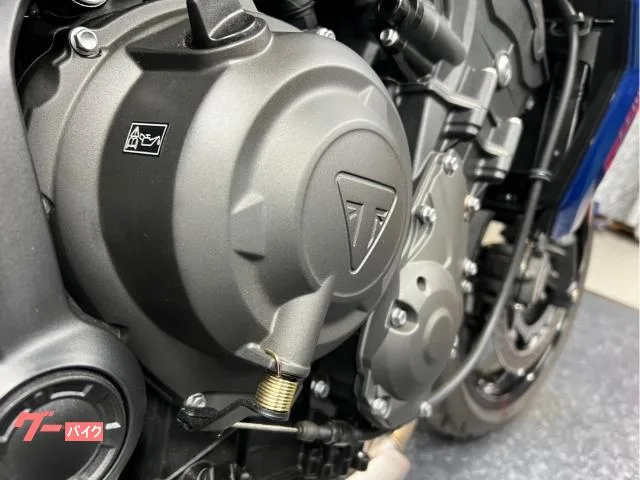 TRIUMPH 660 2023 — миниатюра 3