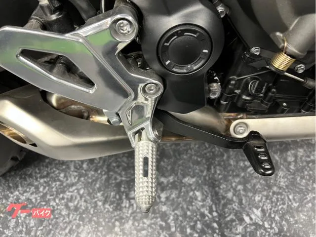 TRIUMPH 660 2023 — миниатюра 5