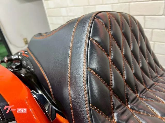 HARLEY-DAVIDSON CVO FLTRXSE PM FR R 2022 — миниатюра 3