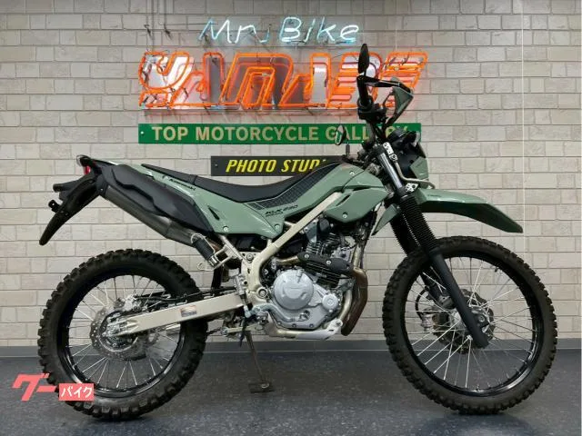 Kawasaki KLX230 2025 — фото 1, купить с доставкой в Москву