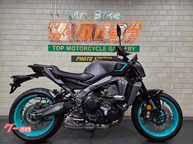 Yamaha MT-09 EG USB JRM-21 2024 — фото 1, купить с доставкой в Москву