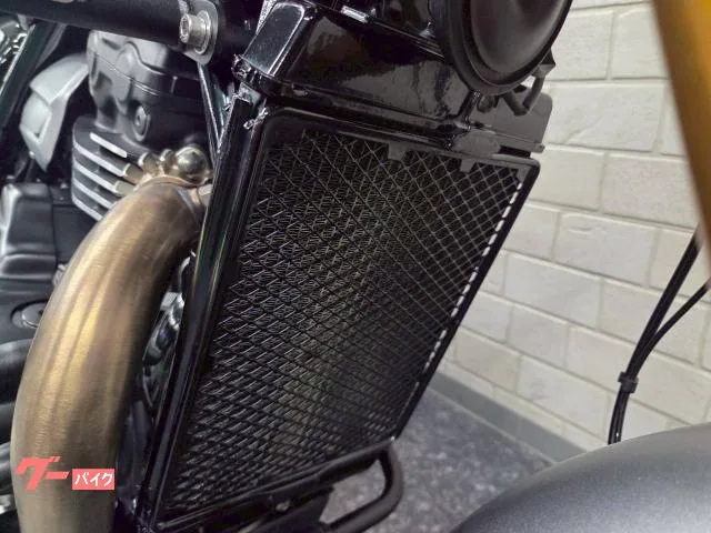 TRIUMPH 400 opEG EG L 2024 — миниатюра 3