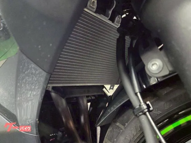 Kawasaki Ninja 250 WRS USB 2023 — миниатюра 5