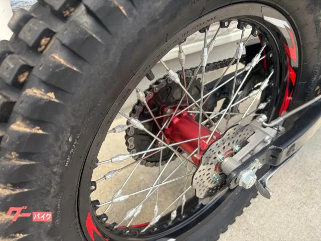 Honda RTL260F 2023 — миниатюра 3
