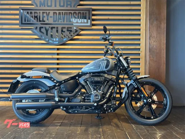 HARLEY-DAVIDSON FXBBS 114 1868cc 2 2024 — фото 1, купить с доставкой в Москву