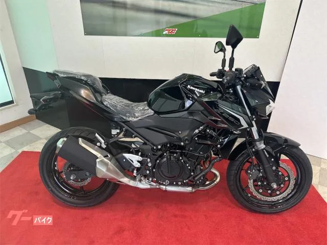 Kawasaki Z250 26 ABS 2026 — миниатюра 2