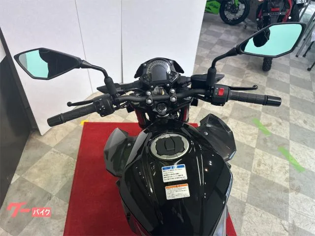 Kawasaki Z250 26 ABS 2026 — миниатюра 3