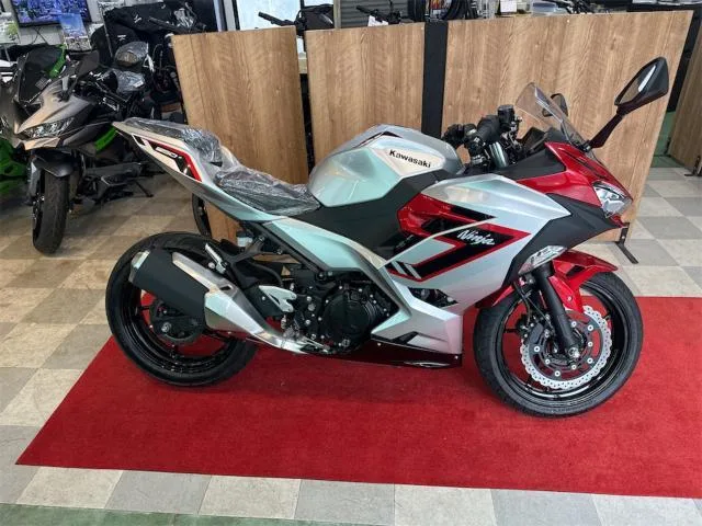 Kawasaki Ninja 250 ABS 2026 — миниатюра 2