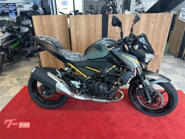 Kawasaki Z400 ABS 2026 — миниатюра 2