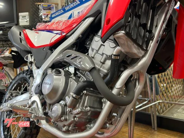 Honda CRF250LS 2025 — миниатюра 4