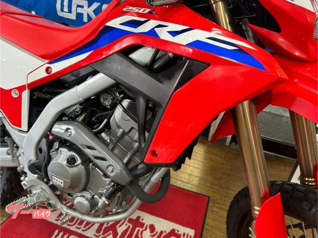 Honda CRF250LS 2024 — миниатюра 4