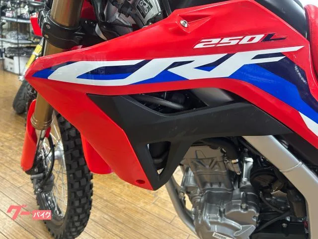 Honda CRF250LS 2024 — миниатюра 2