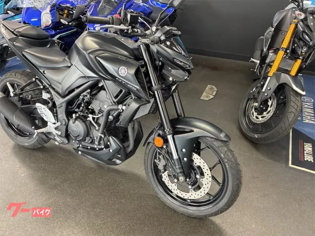 Yamaha MT-25 2022 — миниатюра 2