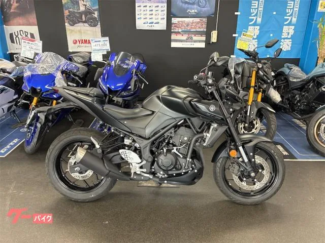 Yamaha MT-25 2022 — фото 1, купить с доставкой в Москву