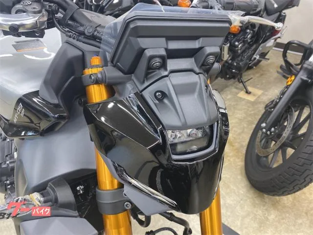 Yamaha MT-09 SP 2024 — миниатюра 4