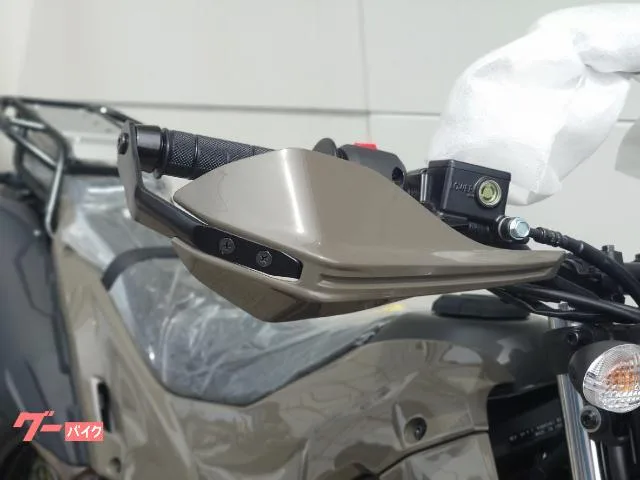 Kawasaki KLX230 DF 2026 — миниатюра 5