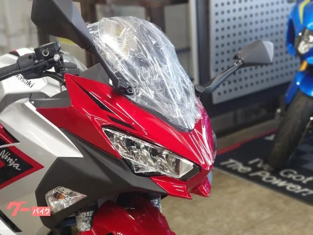 Kawasaki Ninja 250 2026 — миниатюра 2