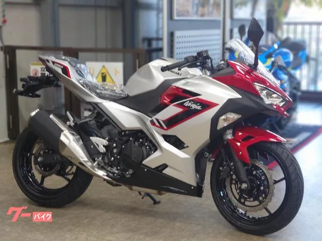Kawasaki Ninja 250 2026 — фото 1, купить с доставкой в Москву