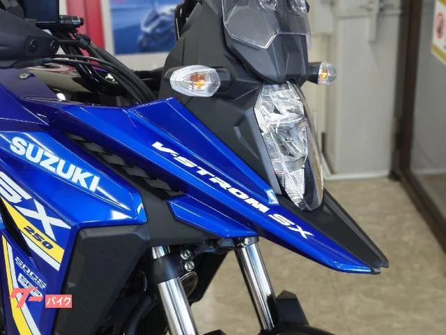 Suzuki V- 250SX 2026 — миниатюра 3