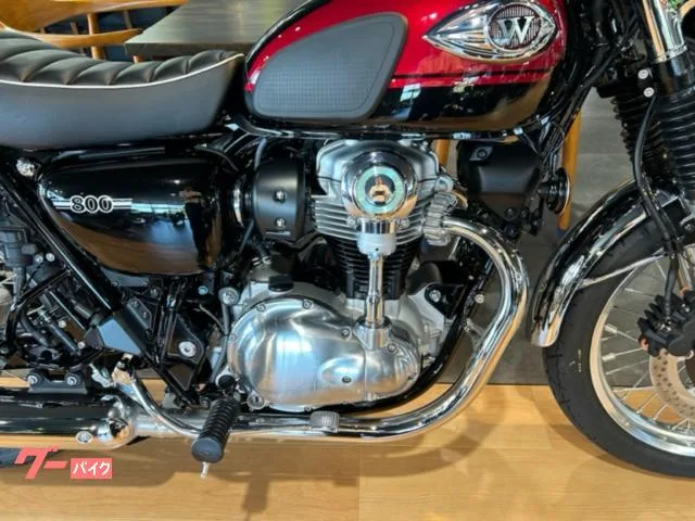 Kawasaki W800 ETC 3 2024 — миниатюра 3