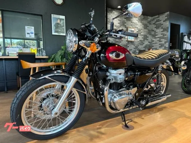 Kawasaki W800 ETC 3 2024 — миниатюра 4