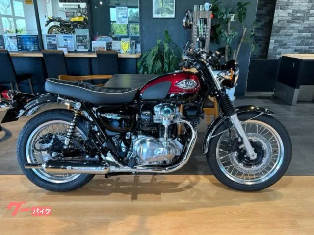 Kawasaki W800 ETC 3 2024 — фото 1, купить с доставкой в Москву