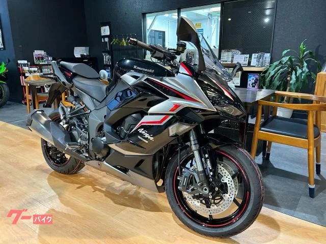 Kawasaki Ninja 1000 SX ETC 2024 — миниатюра 2