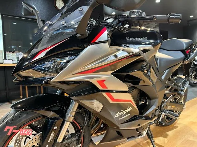 Kawasaki Ninja 1000 SX ETC 2024 — миниатюра 3