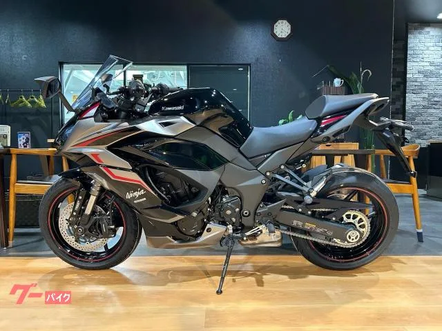 Kawasaki Ninja 1000 SX ETC 2024 — миниатюра 4