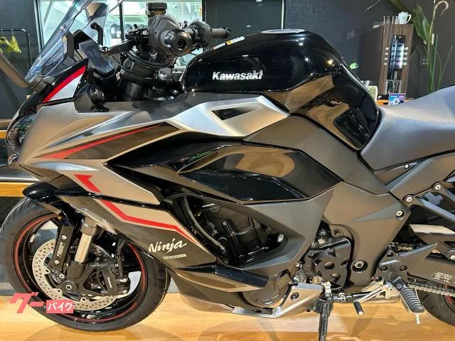 Kawasaki Ninja 1000 SX ETC 2024 — миниатюра 5