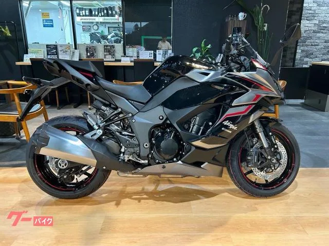 Kawasaki Ninja 1000 SX ETC 2024 — фото 1, купить с доставкой в Москву