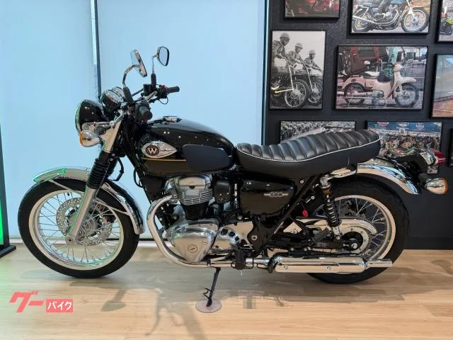 Kawasaki W800 ETC GP3 2025 — миниатюра 4